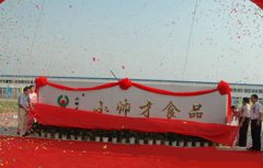 合作案例-小帥才集團